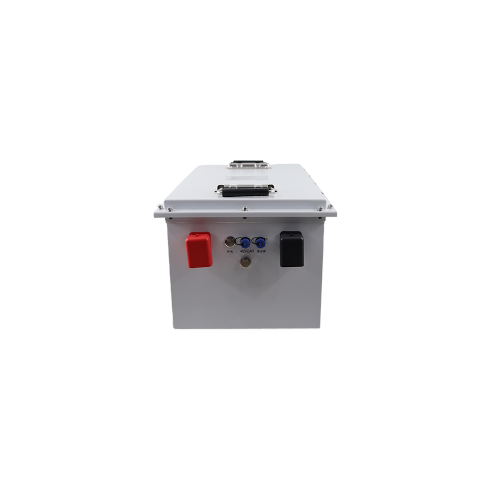 51.2v100ah Custom Power Battery Pack 40C Low-Temperature NMC Lithium Battery
